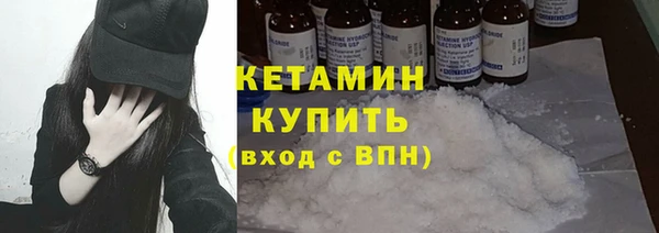 хмурый Аркадак