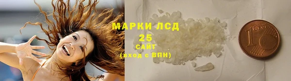 хмурый Аркадак