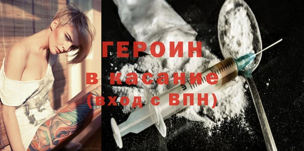 хмурый Аркадак