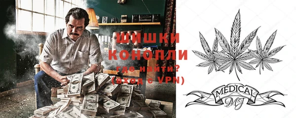хмурый Аркадак