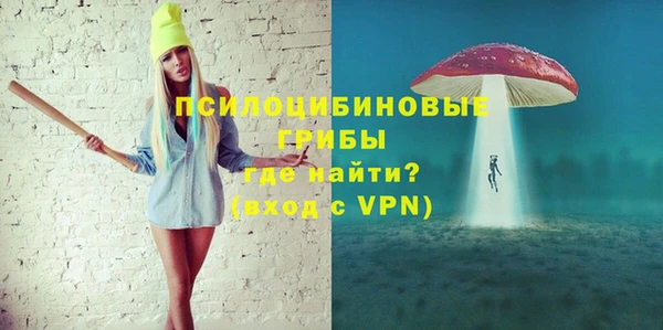 хмурый Аркадак
