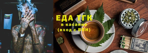 хмурый Аркадак