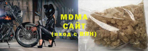 хмурый Аркадак